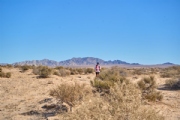 R4087454