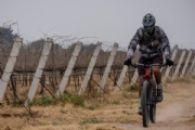 X4104442