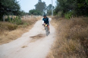 V4099454