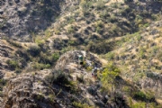 C4103579