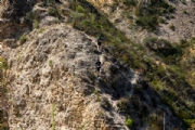G4103789