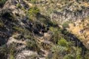 G4103937