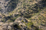 H4103511
