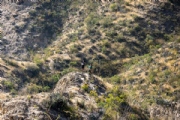 H4103512