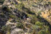 H4103855