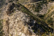 K4103851