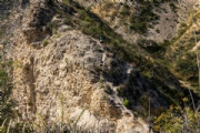 K4103871
