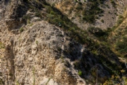K4103908