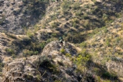 L4103569