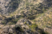 L4103624