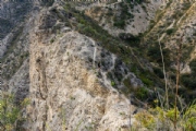 N4103561