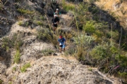 O4103652