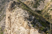 O4103666