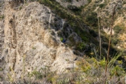 O4103877