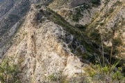 P4103558
