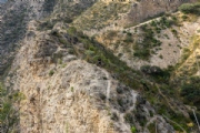 X4103645