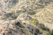 Y4103531