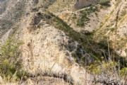Y4103669
