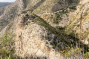 Y4103715