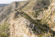 Y4103777