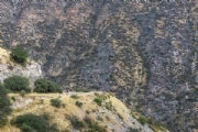 S4104251