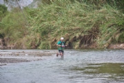 G4107497