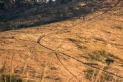 D4109510