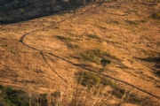 D4110028