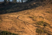 G4110044