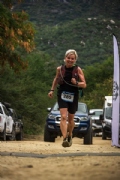 V4120313