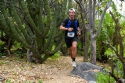 D4123350