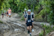 T4133469