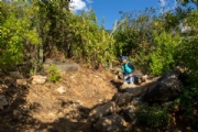 C4145596