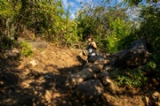 F4145495