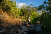 F4146083