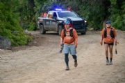 L4145544
