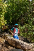 N4145844