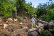 S4145786