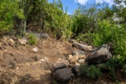S4146182