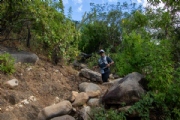 S4146395