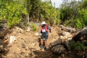 V4145594