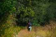 D4125545