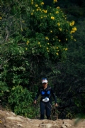 G4125646