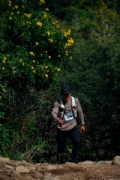 H4125528