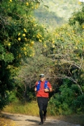 Y4125931