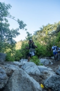 N4137982