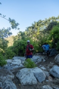 Y4138258