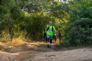 T4147431