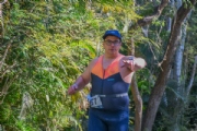 L4156447