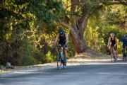 J4152495
